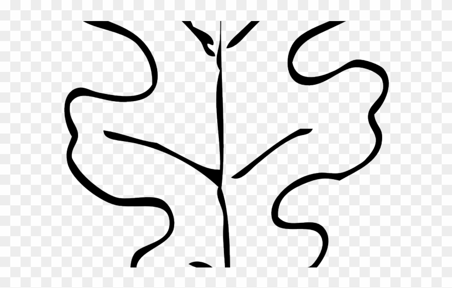 Foliage Clipart Red Oak Tree - White Oak Leaf Drawing - Png Download