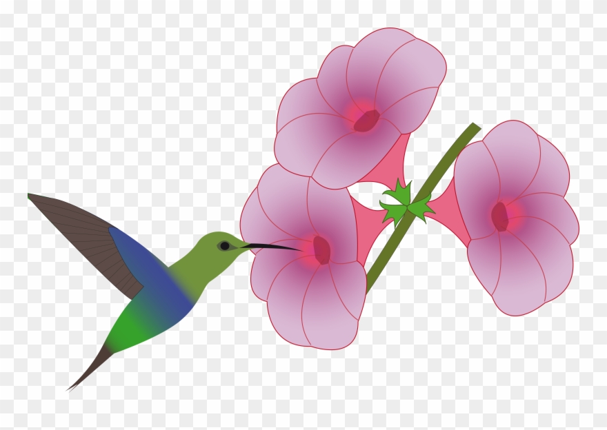 Big Image - Hummingbirds And Flowers Clipart - Png Download