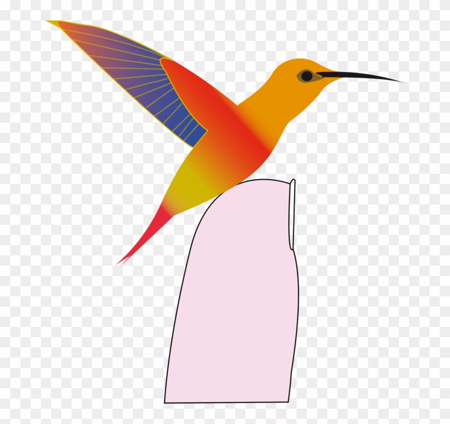 All Photo Png Clipart - Colorful Hummingbird King Duvet Transparent Png