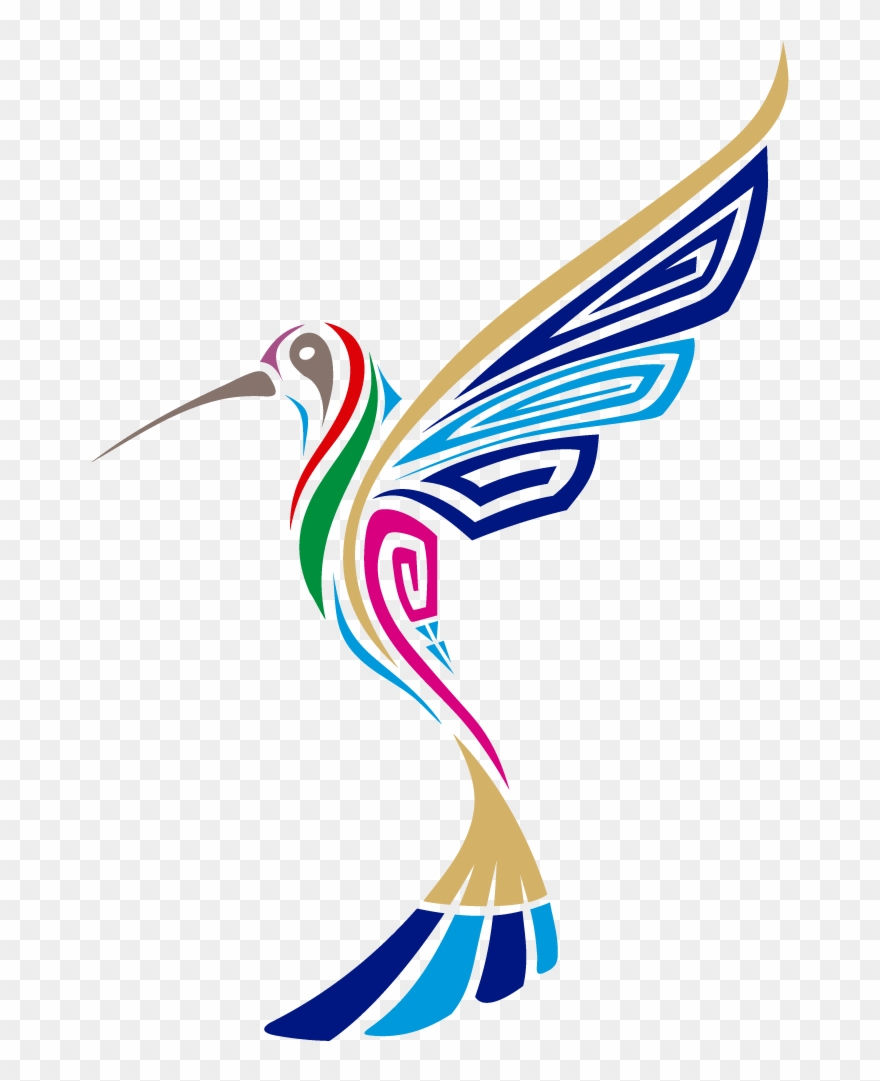 Colibri De Colores Png Clipart