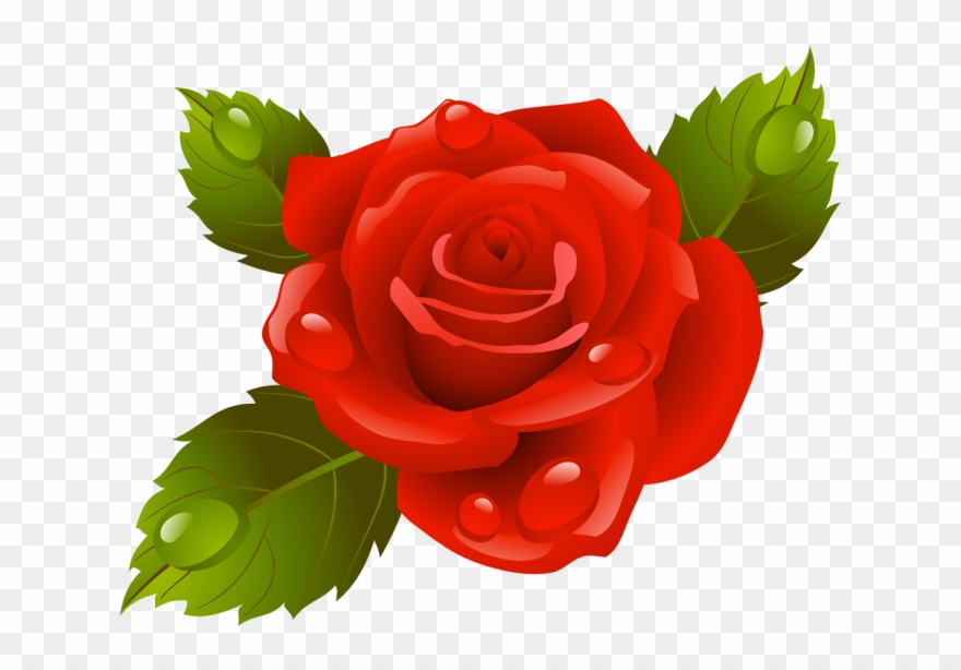 Клипарты Тема - Flower Pictures Clipart