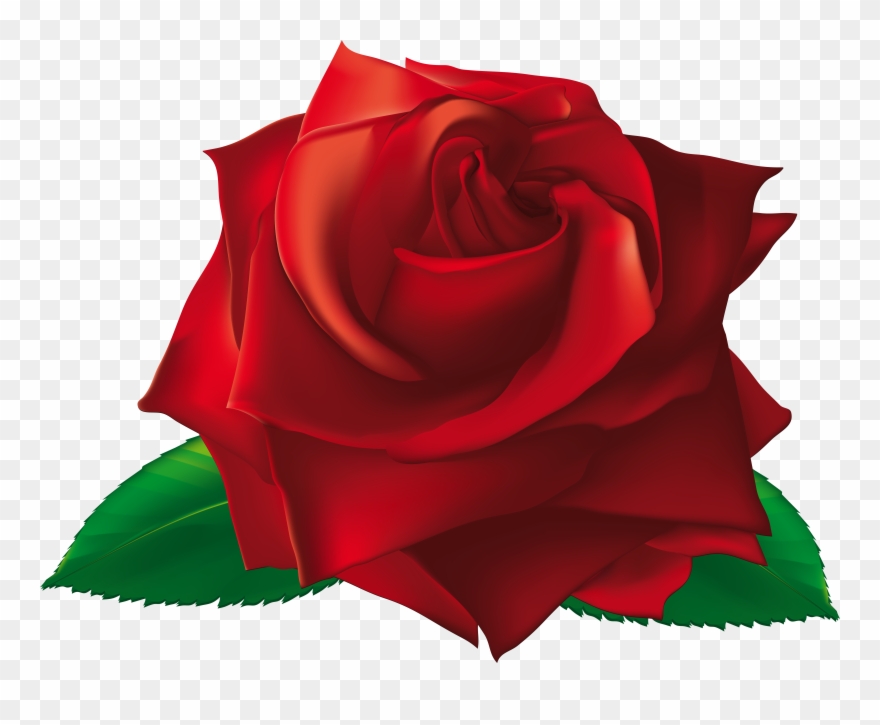 Single Rose Clip Art - Png Download