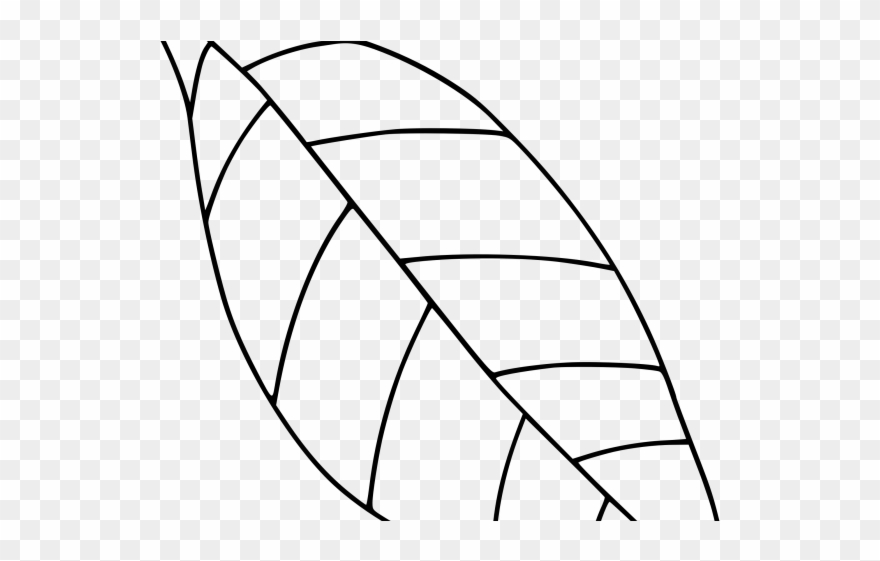 Single Clipart Black And White - Clip Art Black And White Pictures Of Leaf - Png Download