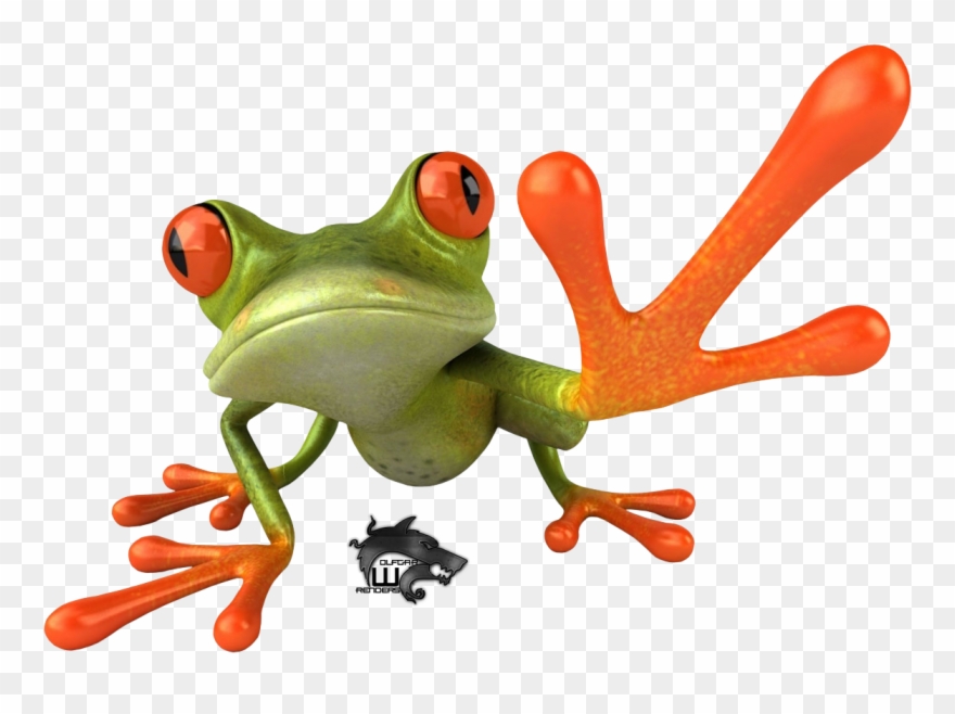 Red Eyed Tree Frog Clipart Transparent - Frog .png