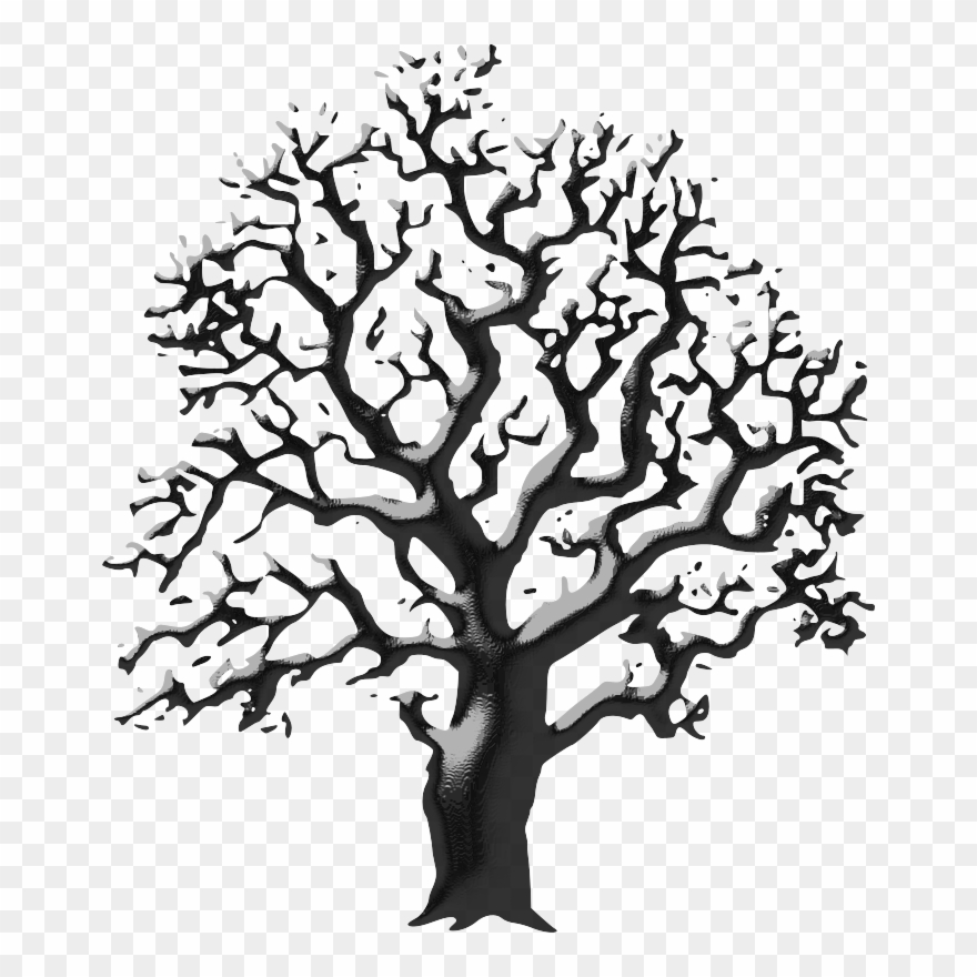 By Skinbus - Tree Drawing Black And White Clipart