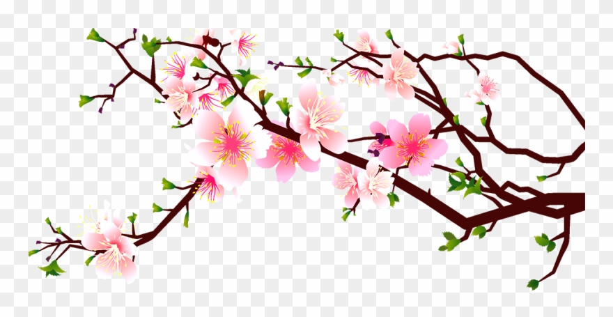 Cherry Blossom Peach Clip Art Decoration - Cherry Blossoms Clipart Free - Png Download