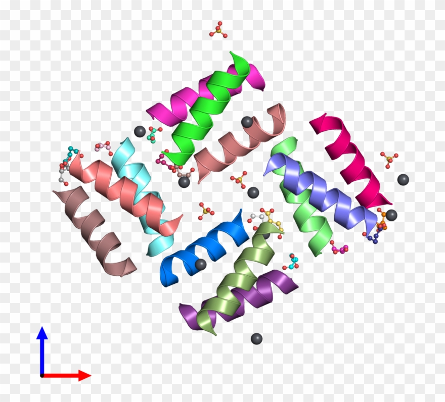 Pdb 1hqj Coloured By Chain And Viewed From The Front - Helix Loop Helix Motif Clipart