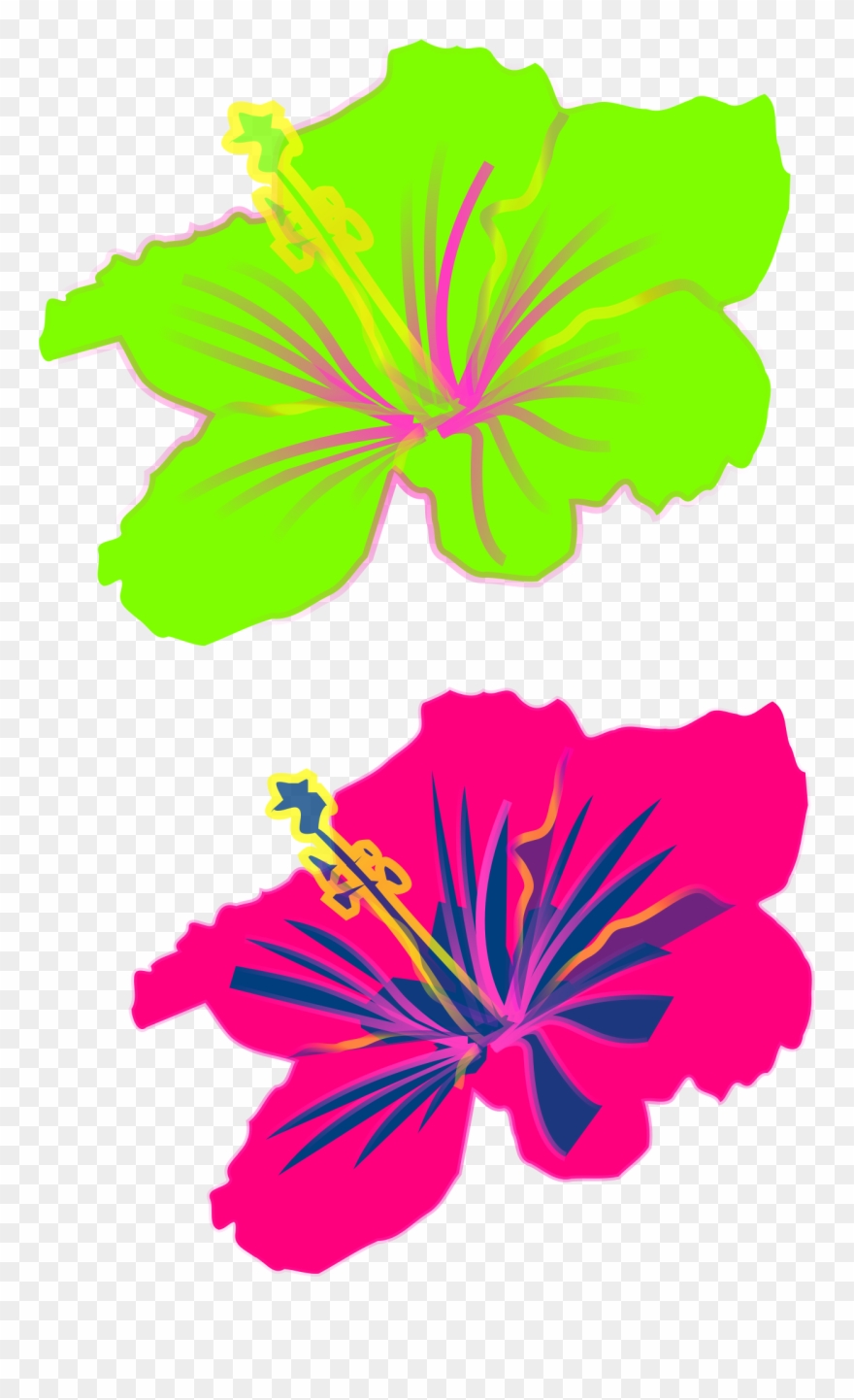 All Photo Png Clipart - Hibiscus Clip Art Transparent Png