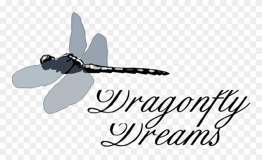 ,adobe Photoshop Additional Experience - Aerialite Clipart