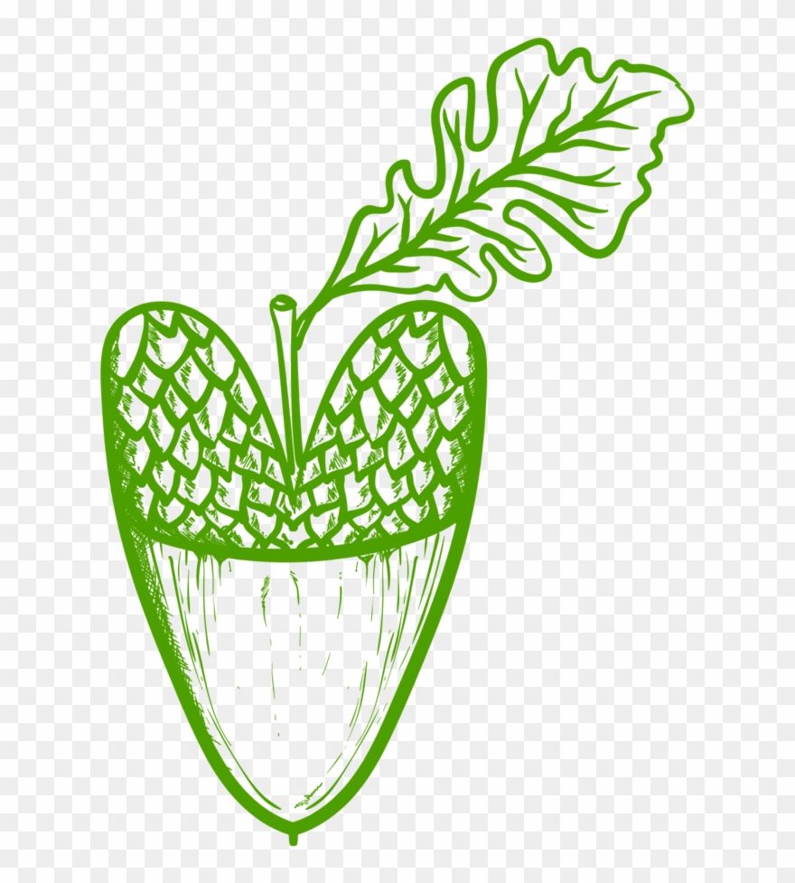 Thrive Forest School At Creasey Mahan Nature Preserve - Portable Network Graphics Clipart