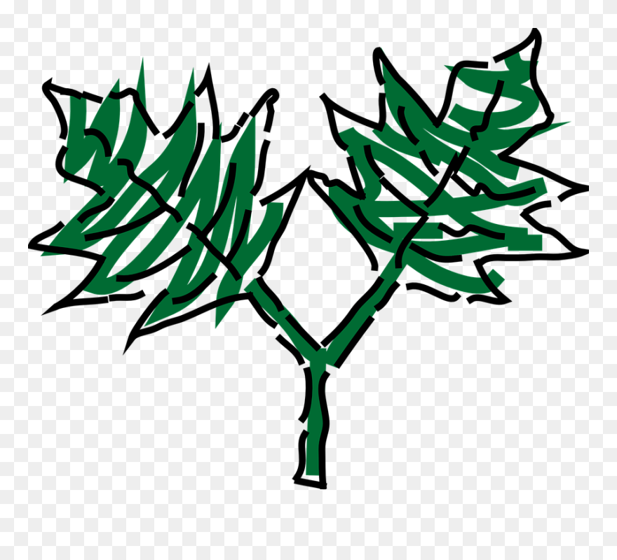 Forest Clipart Two Tree - Vector Graphics - Png Download