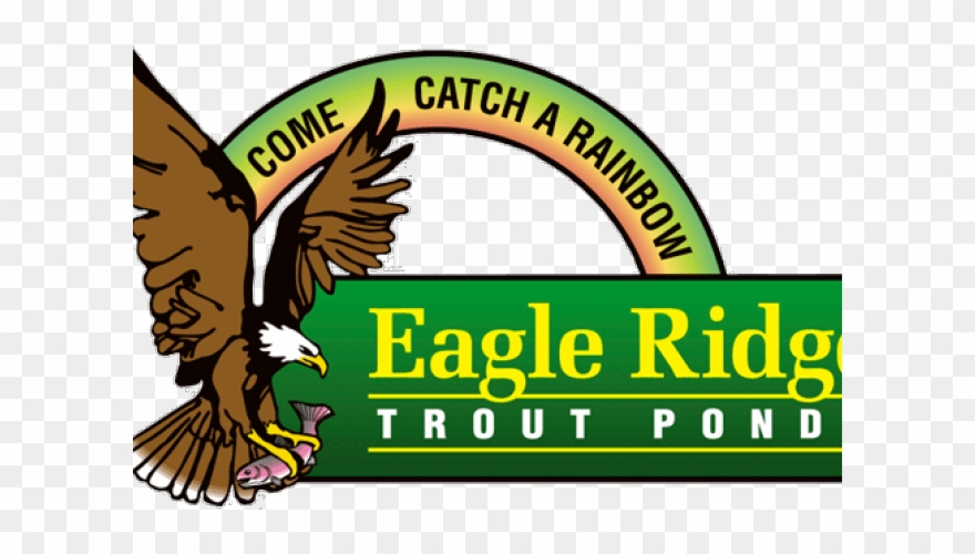 Sauna Clipart Eagle - Golden Eagle - Png Download