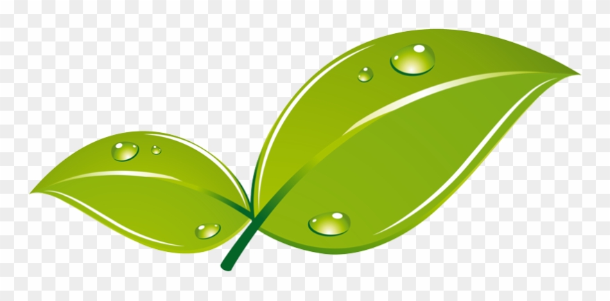 Illustration Clipart