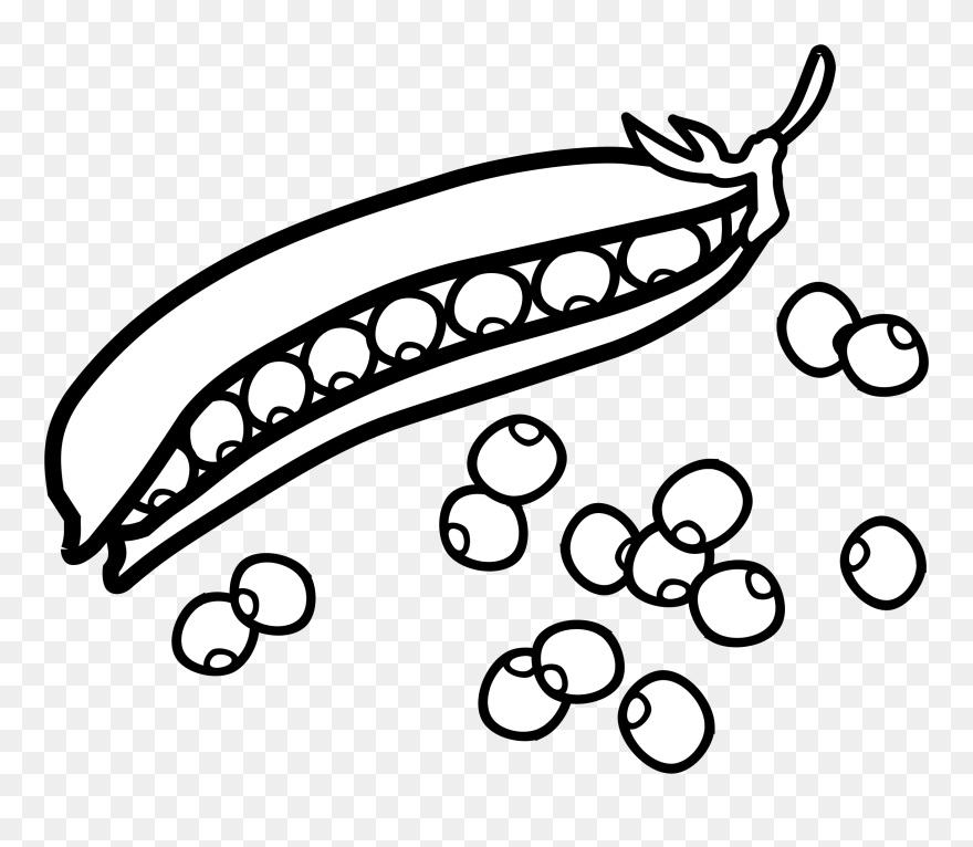 Clip Art Transprent Png - Peas Black And White Clip Art Transparent Png