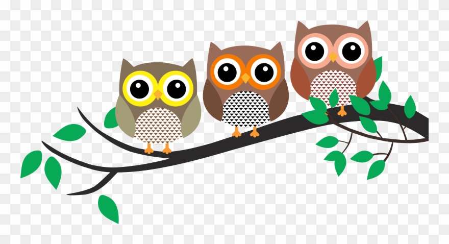 Owl In A Tree Clipart - Png Download