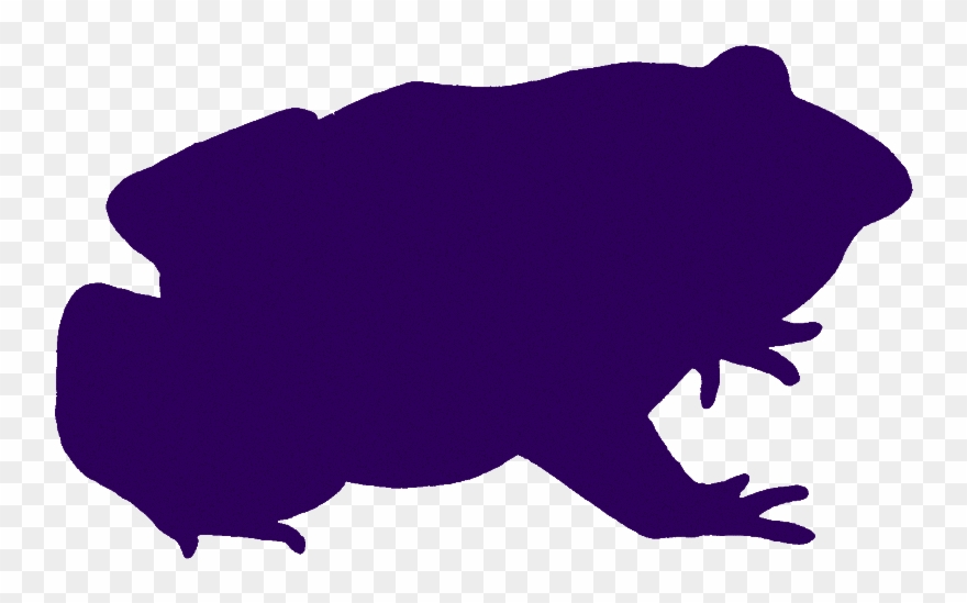 Amphibians - Hippopotamus Clipart