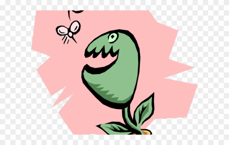 Trap Clipart Fly Trap - Png Download
