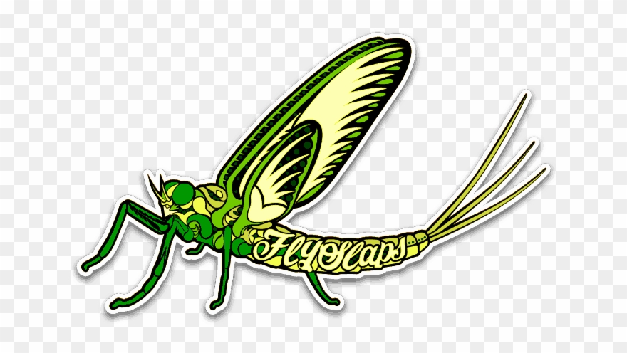Fly Slaps Ornamented Green Drake Sticker - Sticker Clipart