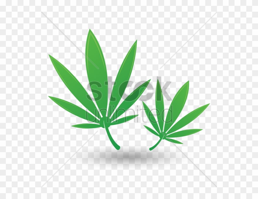 Hemp - Leaf Clipart