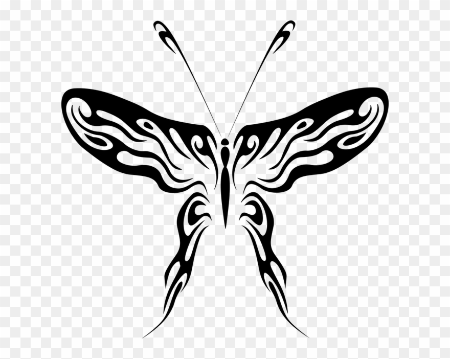 Abstract Butterfly Line Drawing Clipart