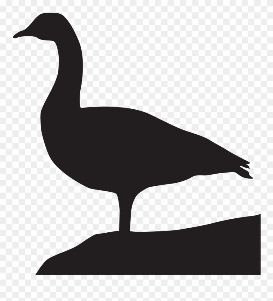 Canada Silhouette At Getdrawings Com Free For - All About Birds Clipart