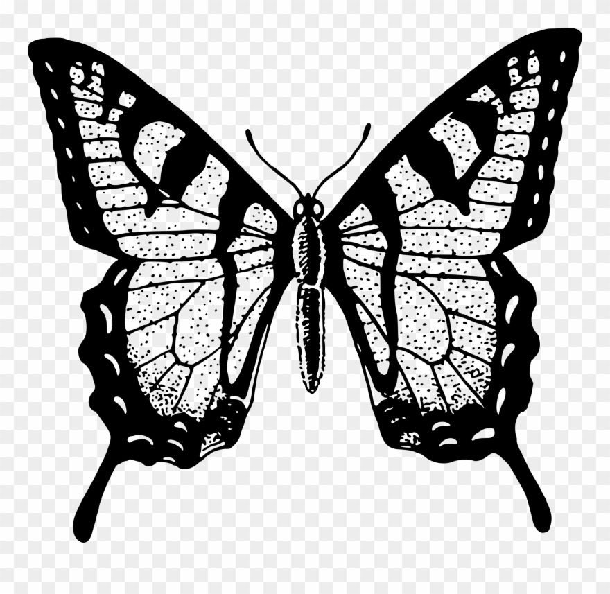 Single Flying Butterfly Clip Art Black - Black And White Butterfly Png Transparent Png