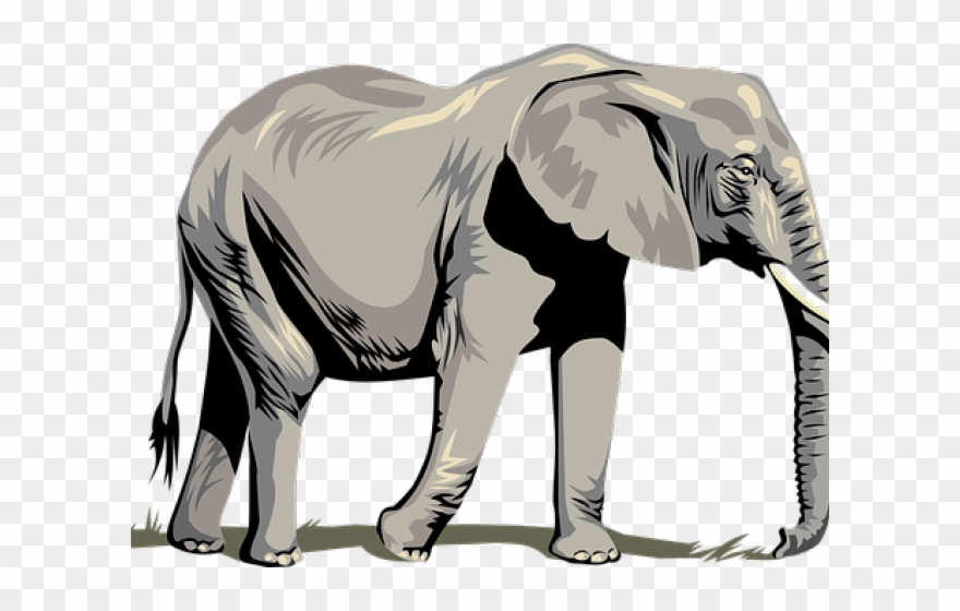 Tusk Clipart Asia Animal - Clip Art Png Elephant Transparent Png
