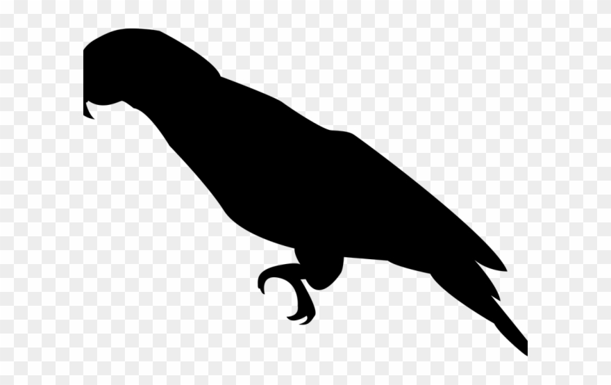 Parrot Clipart Nuri - Png Silhouette Of A Parakeet Clipart Transparent Png