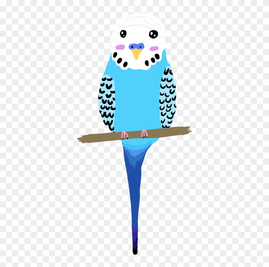 Interesting Use Of Colour And Shape For Budgie - Parakeet Clipart