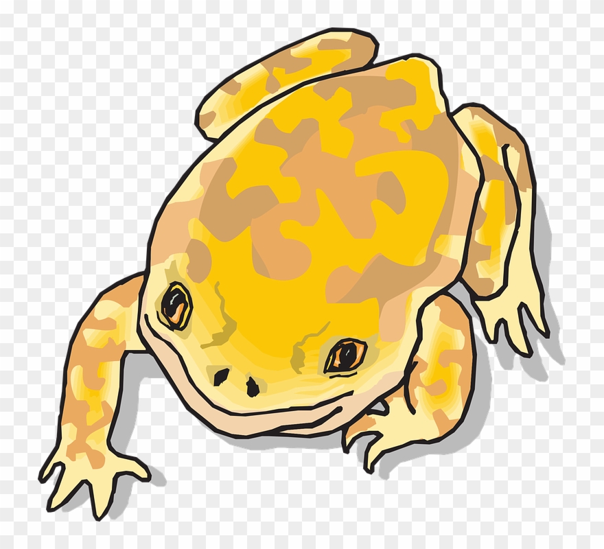 Jungle Clipart Frog - Yellow Cartoon Frog - Png Download