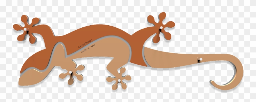 Wall Key Rack Geko - Portachiavi In Legno Da Parete Clipart