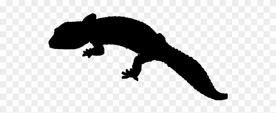 Leopard Gecko Logo Black And White Clipart