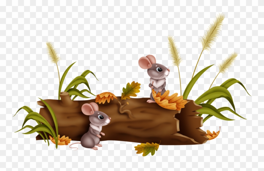 Souris,tubes,png - Cartoon Clipart