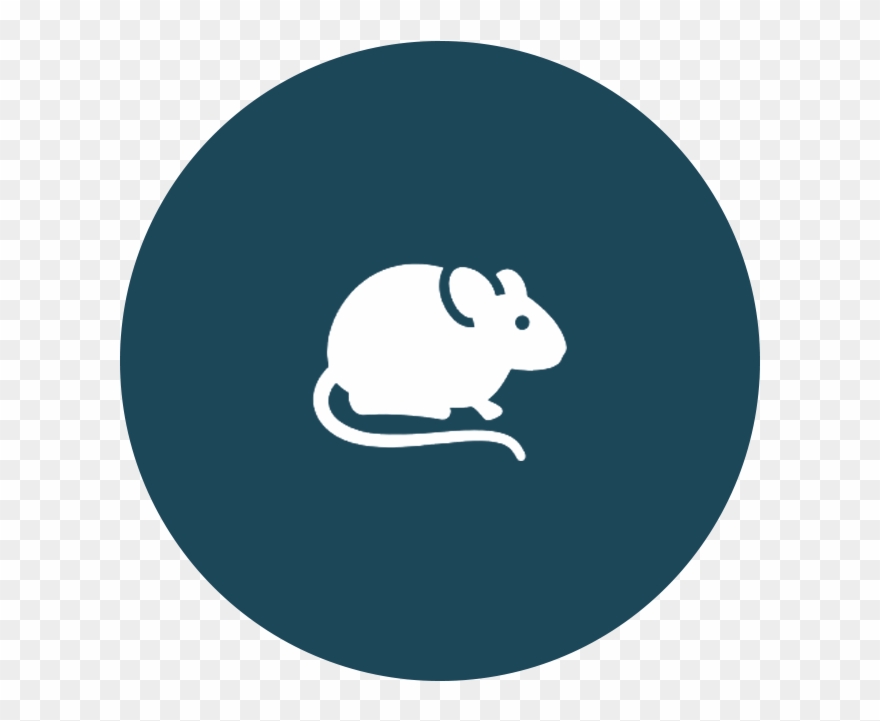 Clipart Rat Pest Control - Blog - Png Download