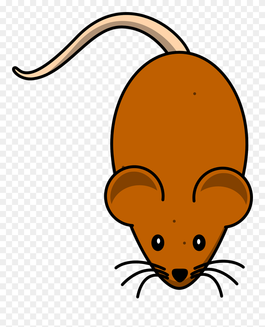 Grey Mouse Clipart - Png Download
