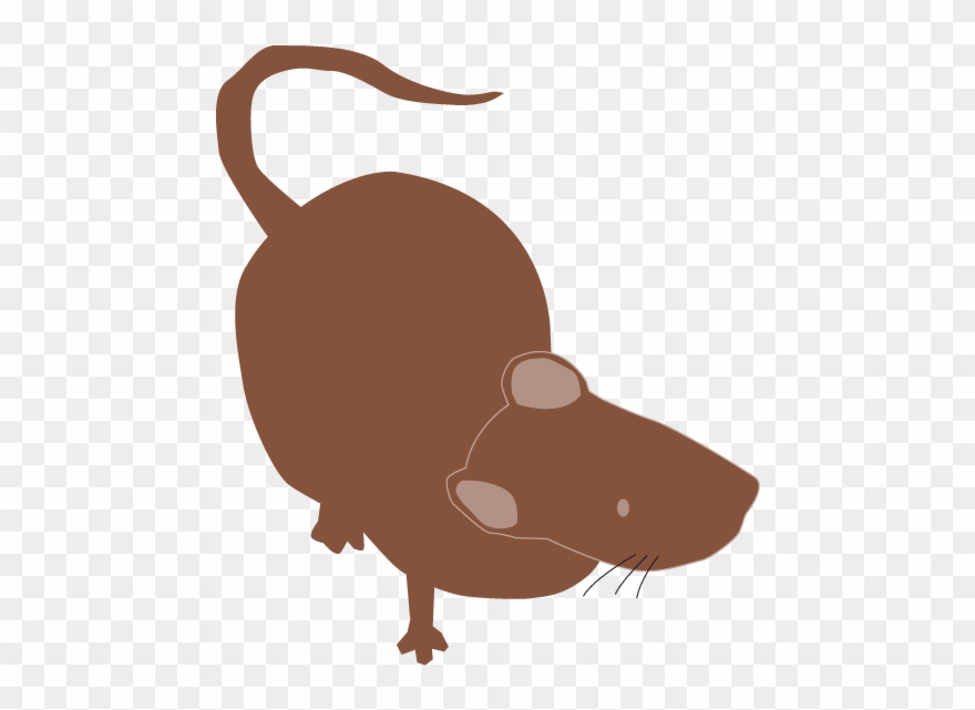 Free Clip Art - Illustration - Png Download