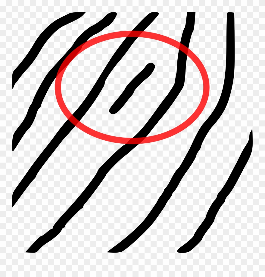 <div>short Ridge</div> - Short Ridge Fingerprint Clipart
