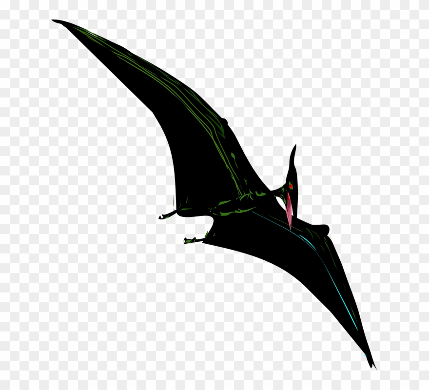 Dinosaurs Clipart Bird - Coloring Books Jurassic World: Creative Coloring Animals - Png Download