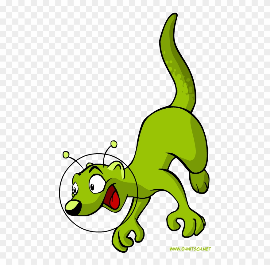 Green Ferret Cliparts - Ferret - Png Download