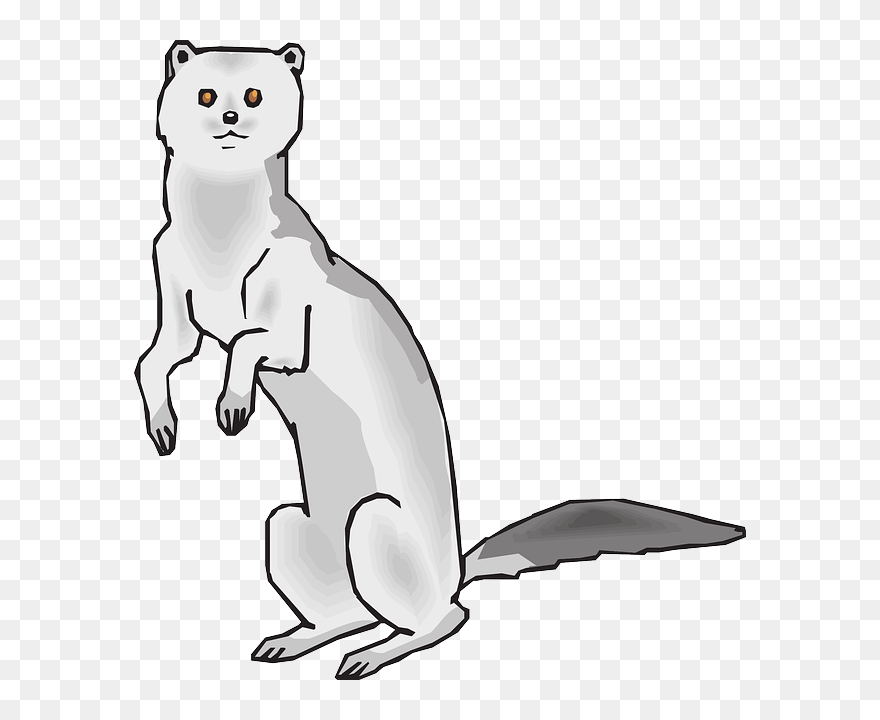 Mink Clipart Black And White - Png Download