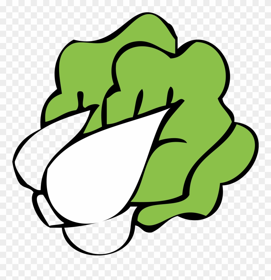 Graphic Freeuse Cabbage Drawing Cute - Bok Choy Cartoon Png Clipart