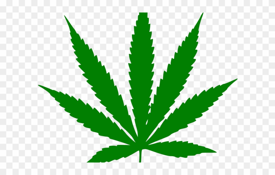 Potted Plants Clipart Leave Clipart - Weed Plant - Png Download