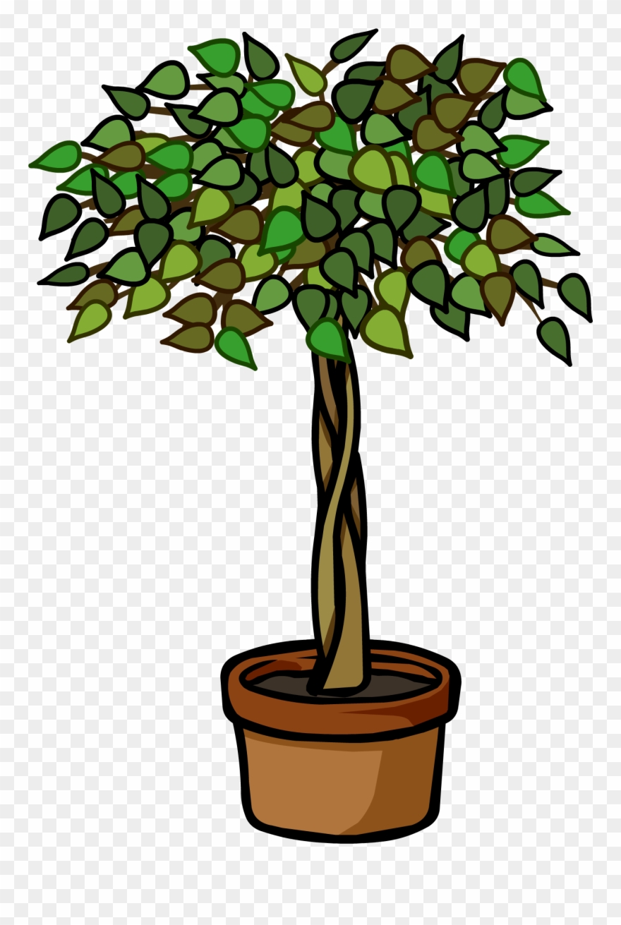 John Cena Clipart Plant - Ficus Tree Clip Art - Png Download