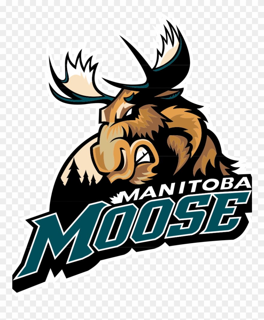 Moose Clipart Hockey - Manitoba Moose Hockey - Png Download