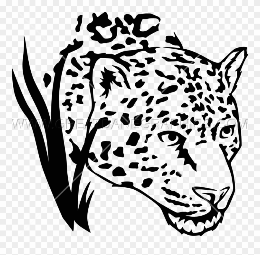 Clipart Transparent Stock Drawing At Getdrawings Com - Jaguar Black And White Png