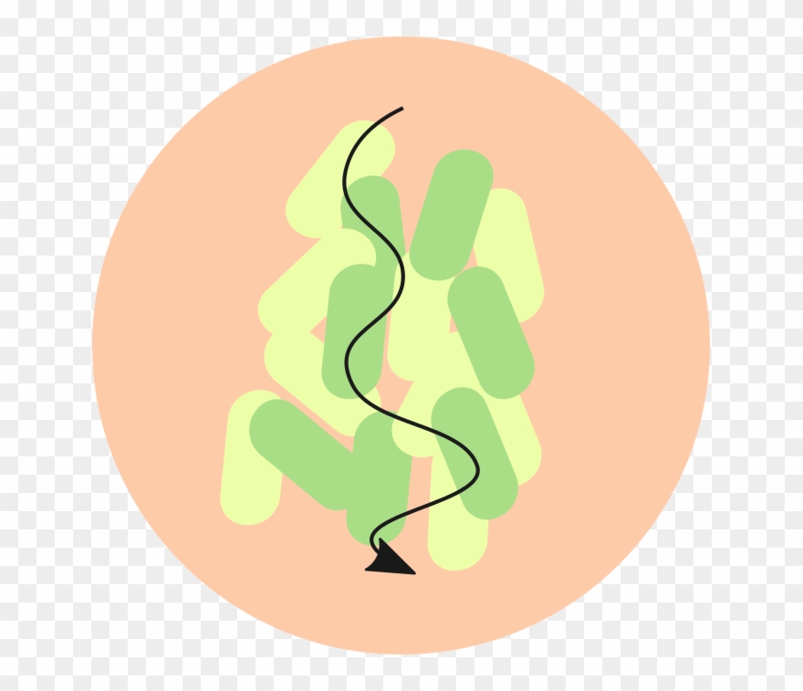 Applications Of Co-cultures - Illustration Clipart