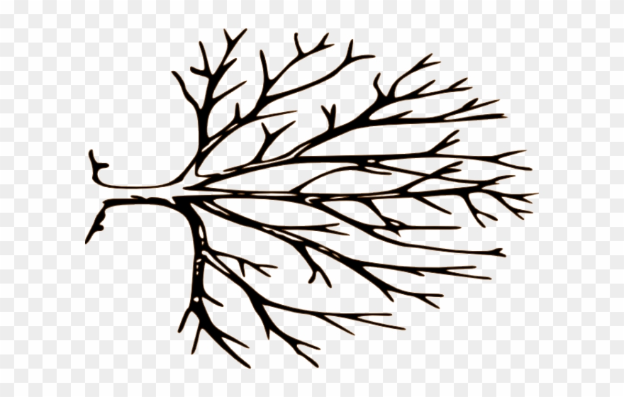 Black And White Tree Clipart - Png Download