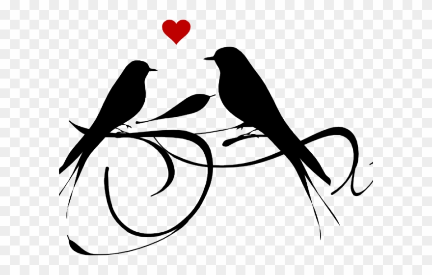 Love Birds Clipart Black And White - Png Download