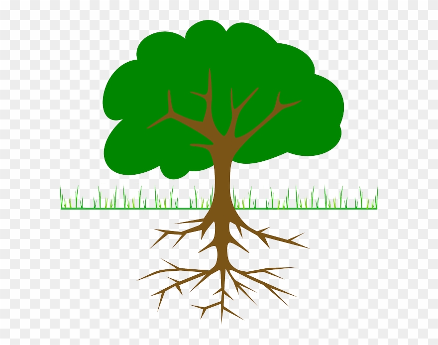 Tree Clip Art - Png Download
