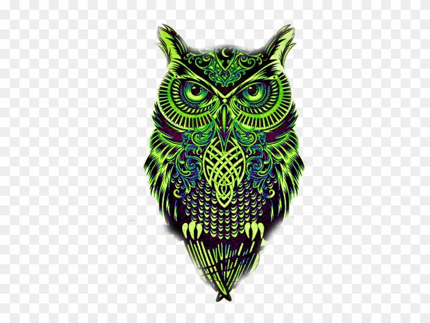 Celtic Owl Clipart
